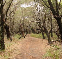 Pretty Beach to Snapper Point walking track - Hotel Accommodation