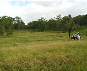 Numinbah Valley QLD Hotel Accommodation