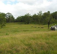 Numinbah Valley Adventure Trails