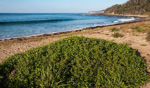 Richmond Beach - Hotel Accommodation 0