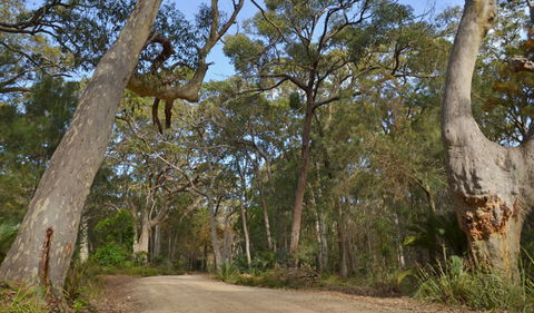 North Head Lookout - Hotel Accommodation 1