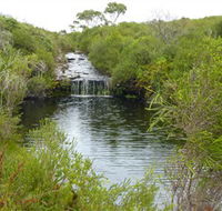 Booderee National Park Green Patch and Telegraph Creek Walking Tracks