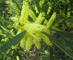 Booderee National Park: Munyunga Waraga Dhugan Walking Trail - Hotel Accommodation 1