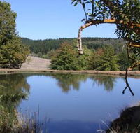 Oak Grove Walk Balingup