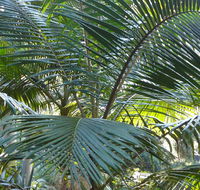 Bangalore Falls walking track - Hotel Accommodation