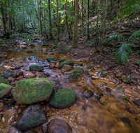 Starrs Creek picnic area - Hotel Accommodation