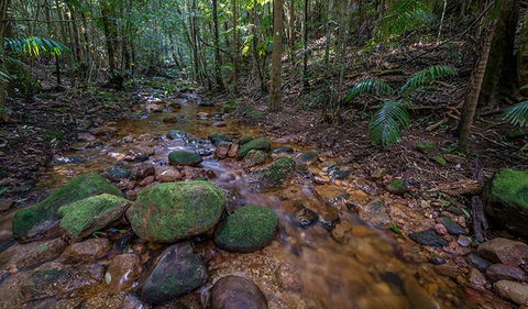 Starrs Creek Picnic Area - Hotel Accommodation 0