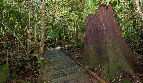 Starrs Creek Picnic Area - Hotel Accommodation 2