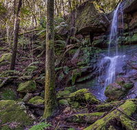 Coorabakh National Park - Hotel Accommodation