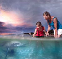 Tangalooma Dolphin Feeding - Hotel Accommodation