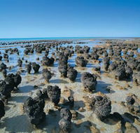 Hamelin Pool Stromatolites - Hotel Accommodation