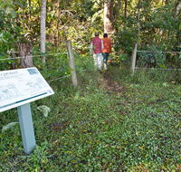 Coramba Nature Reserve - Hotel Accommodation