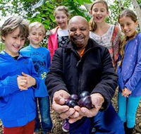 Wigay Aboriginal Culture Park - Hotel Accommodation
