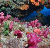 Cherubs Cave Dive Site - Hotel Accommodation