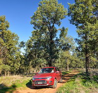 Wallingat Forest drive - Hotel Accommodation