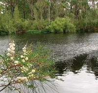 Wallingat National Park - Hotel Accommodation