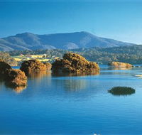 Wagonga Picnic Area - Hotel Accommodation