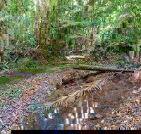 Ulidarra National Park - Hotel Accommodation
