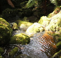 South East Forests National Park - Hotel Accommodation