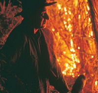 The Shed Gallery - Hotel Accommodation