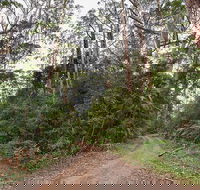 End Peak walking track - Hotel Accommodation