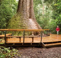 Burrawan State Forest - Hotel Accommodation