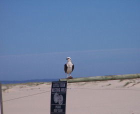 Manning Entrance State Park - Hotel Accommodation 1
