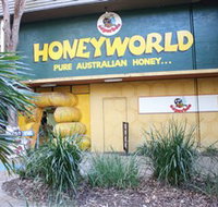 Superbee Honeyworld Gold Coast - Hotel Accommodation