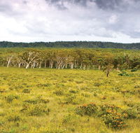 Yuraygir National Park - Hotel Accommodation