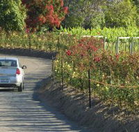Cassegrain Wines - Hotel Accommodation