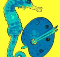 Woolgoolga Art Gallery