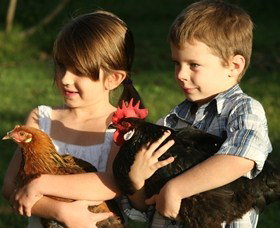 Summerland House Farm - House With No Steps - Hotel Accommodation 2