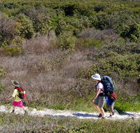 Yuraygir coastal walk - Hotel Accommodation
