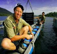 Armstrong Oysters - Hotel Accommodation