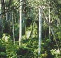 Lind National Park - Hotel Accommodation
