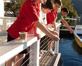 Dunbogan Boatshed - Hotel Accommodation 3