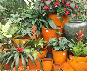 Diamond Waters Garden Nursery - Hotel Accommodation 1