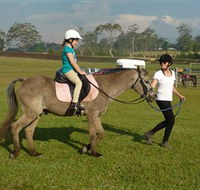 Port Macquarie Horse Riding Centre - Hotel Accommodation