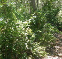 Bridle trail - Hotel Accommodation