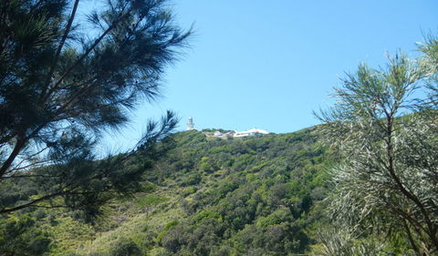 Jack Perkins Walking Track - Hotel Accommodation 3