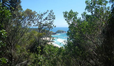 Jack Perkins Walking Track - Hotel Accommodation 1
