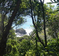 Rainforest walking track - Hotel Accommodation