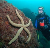 Cook Island Dive Site - Hotel Accommodation