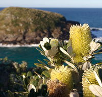 Green Island walking track - Hotel Accommodation