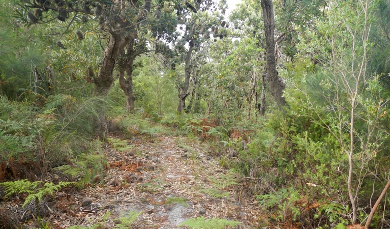 Hat Head NSW Hotel Accommodation