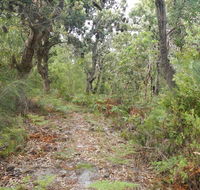 Kinchela Trig Lookout walk - Hotel Accommodation
