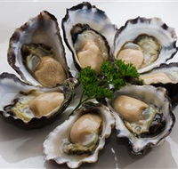 Tathra Oysters - Hotel Accommodation