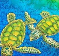 Sea Silks Gallery - Hotel Accommodation