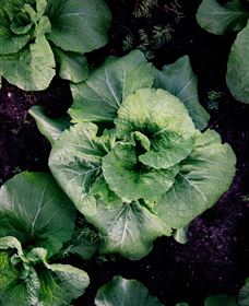 Yoga Retreat - Hotel Accommodation 5