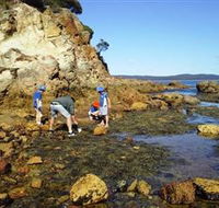 Sapphire Coast Marine Discovery Centre - Hotel Accommodation